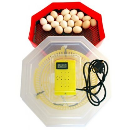 Incubator electric cu termometru si dispozitiv de intoarcere oua Cleo5DT - 41 oua gaina 